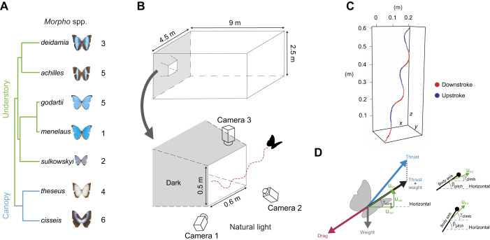 Fig. 1.