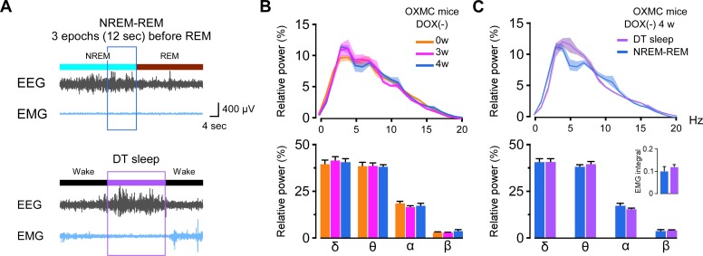 Figure 10.