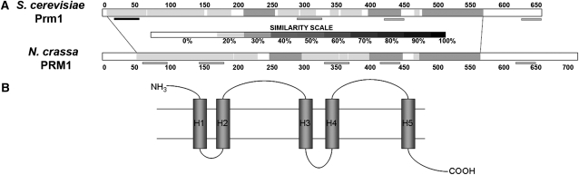 Figure 1.—