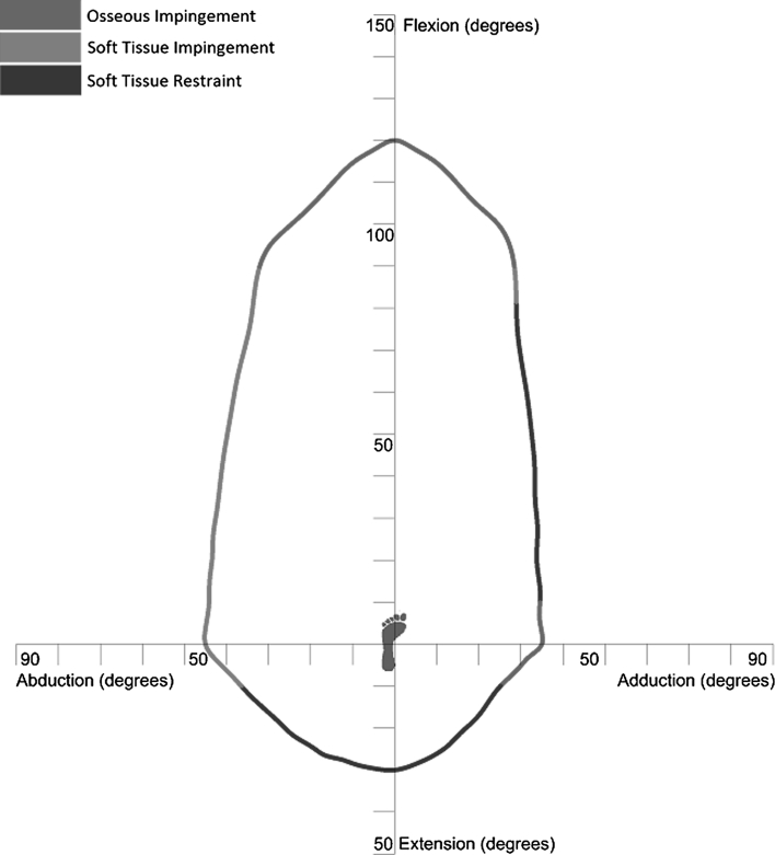 Fig. 6