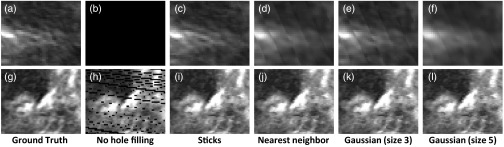 Fig. 10