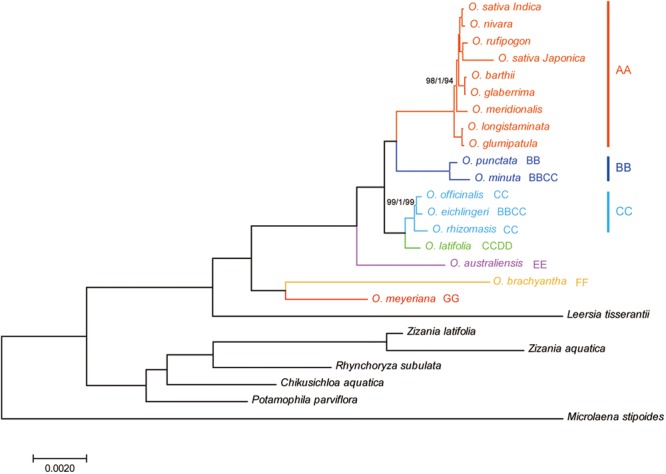 FIGURE 4