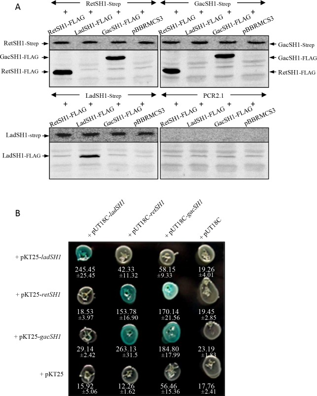 Fig 4