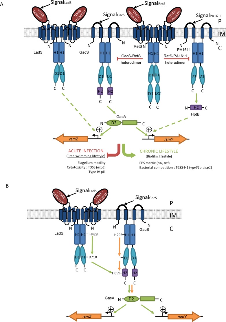 Fig 1