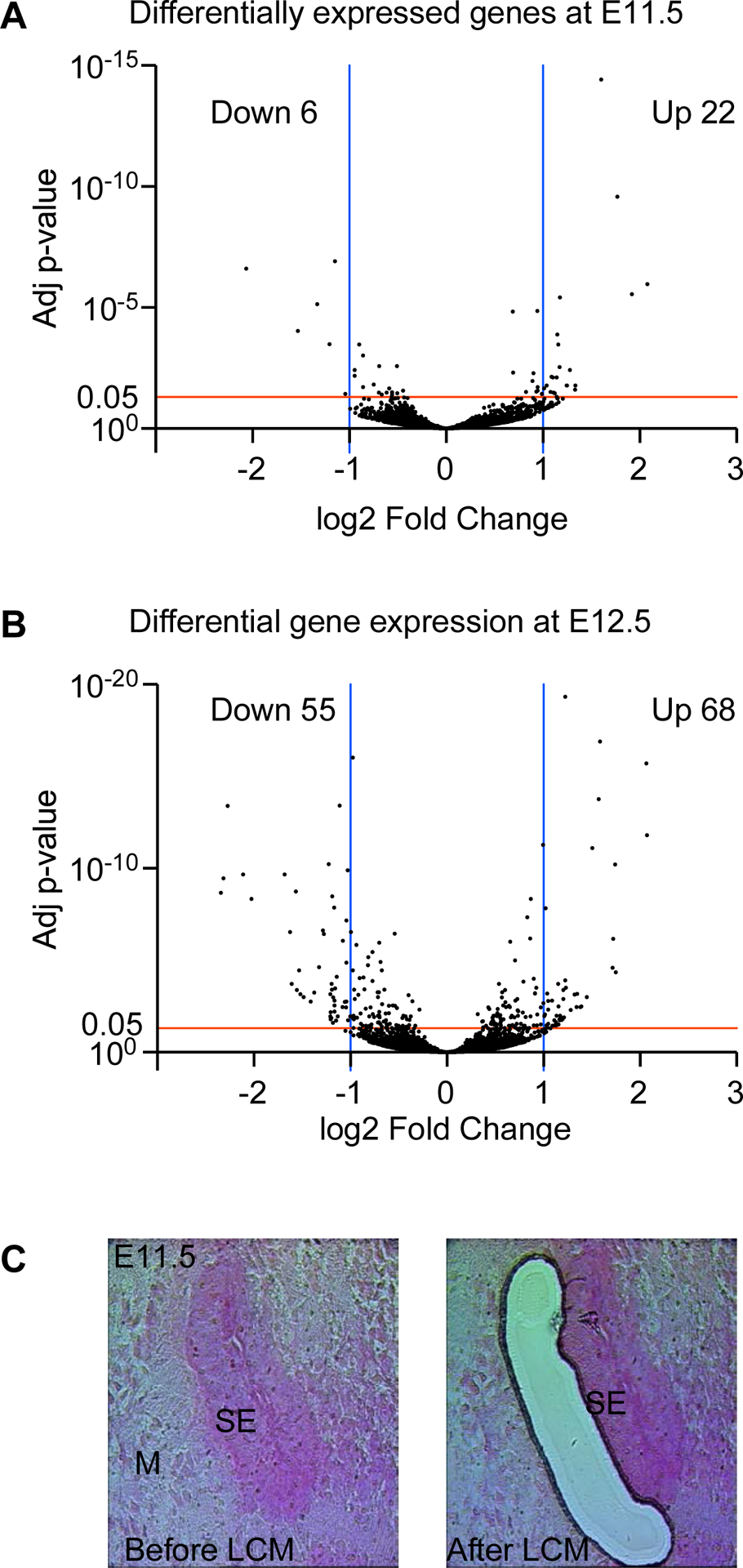 Fig 1.