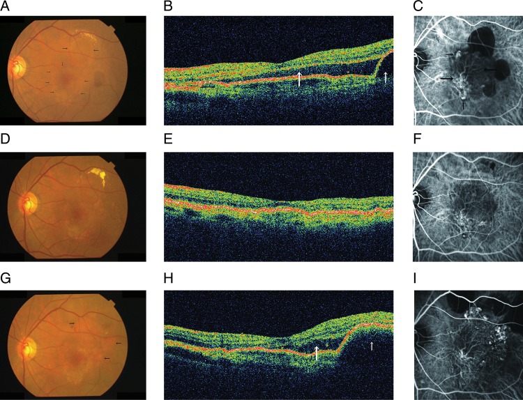 Figure 3