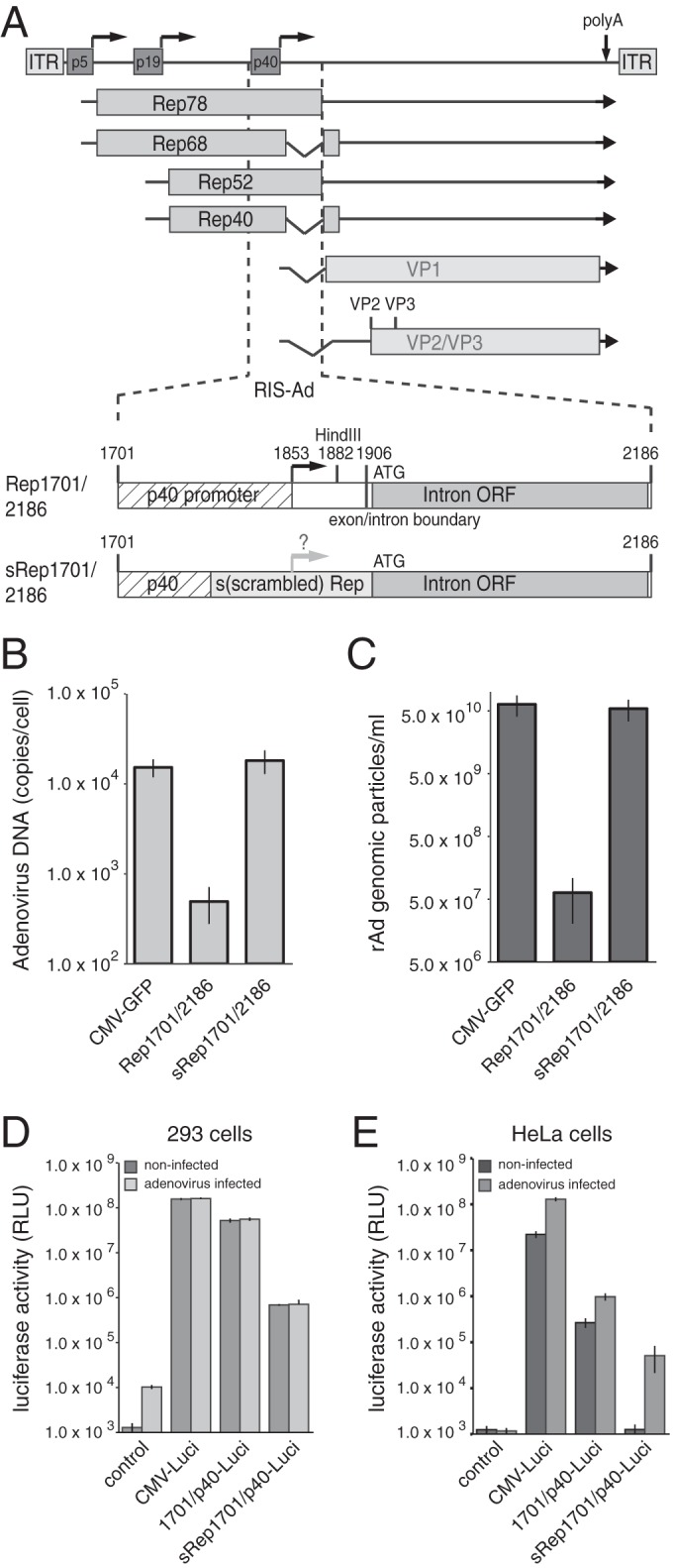 FIG 1