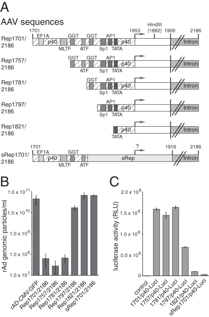 FIG 2