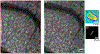 Fig. 16.