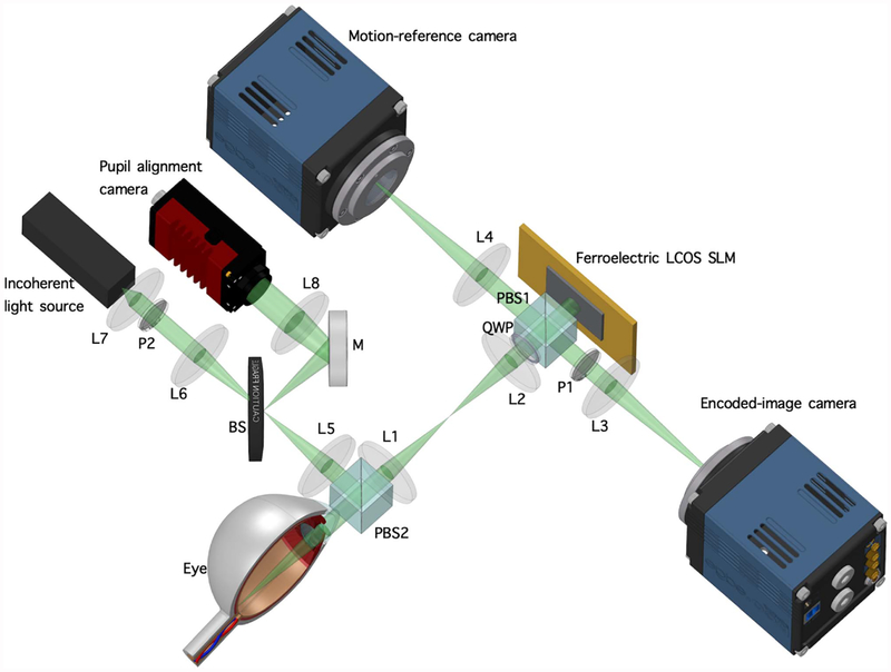 Fig. 13.