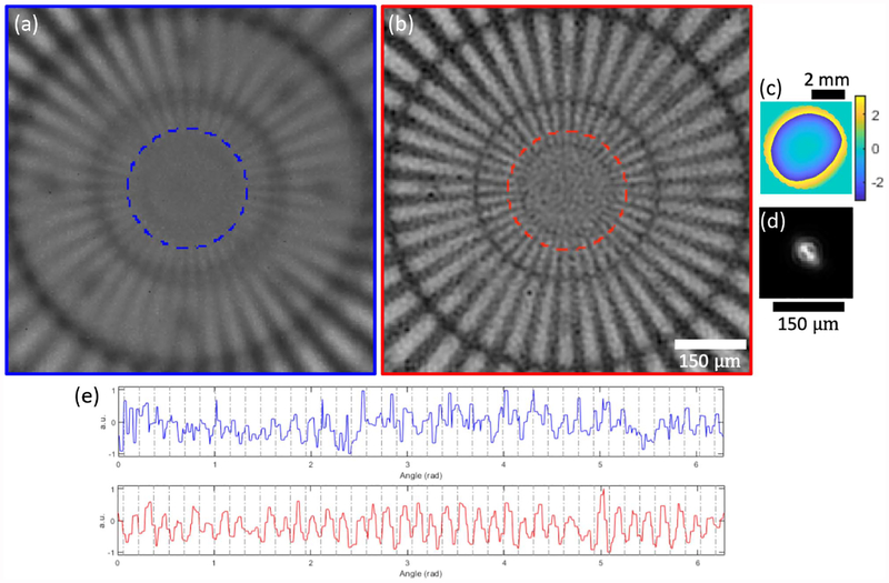 Fig. 10.