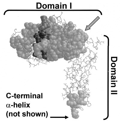 FIG. 1.