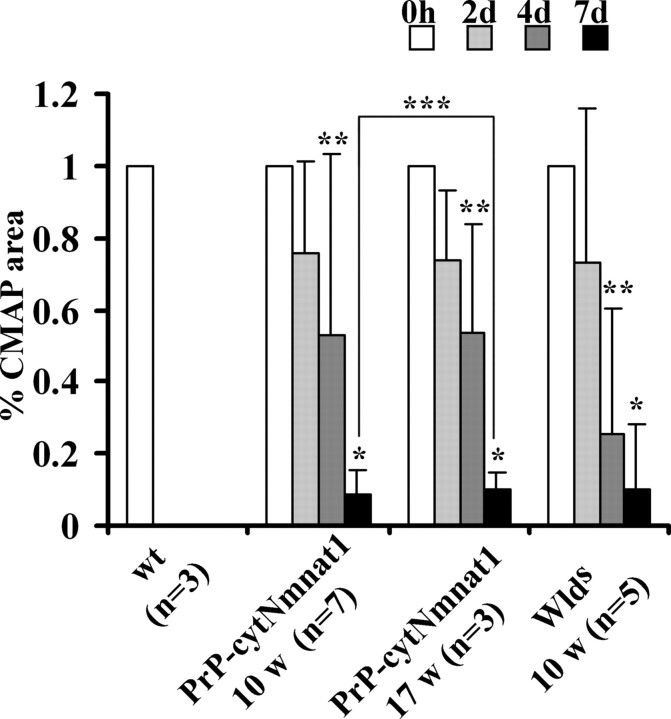 Figure 7.