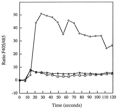 FIG. 6