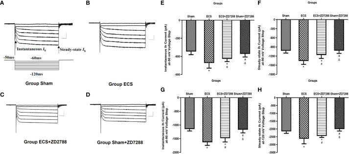Figure 6