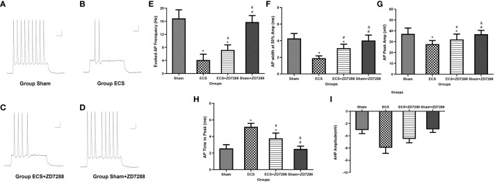 Figure 5
