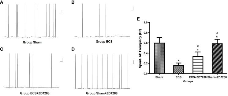 Figure 4