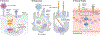 Fig. 2 |