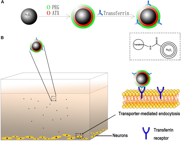 FIGURE 2