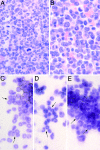 Fig. 3.