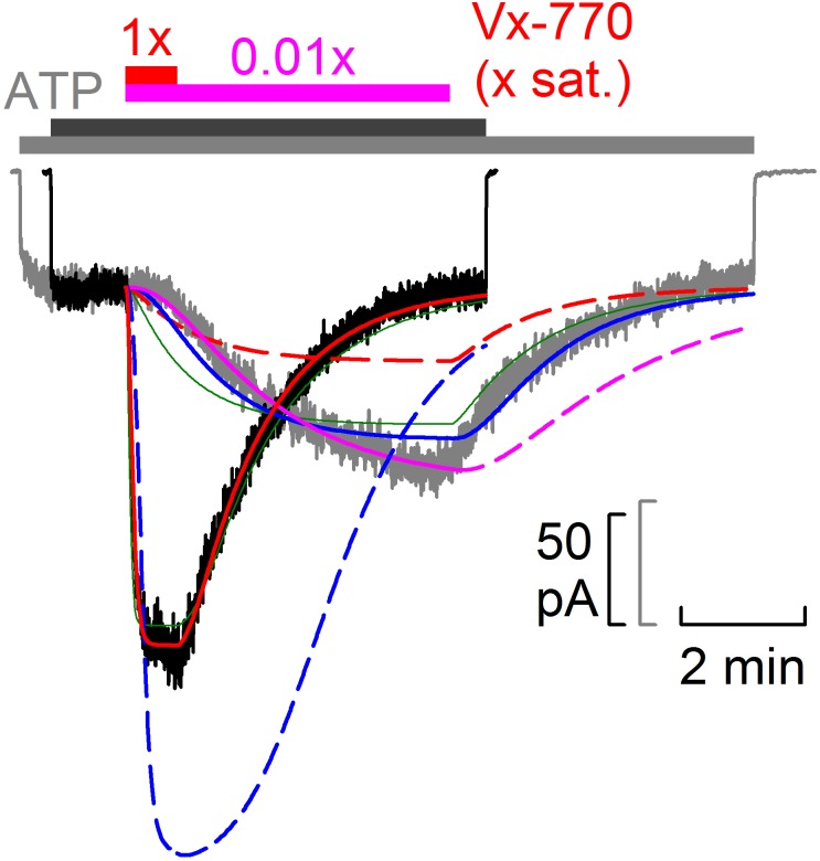 Figure 5—figure supplement 1.