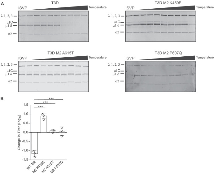 FIG 6