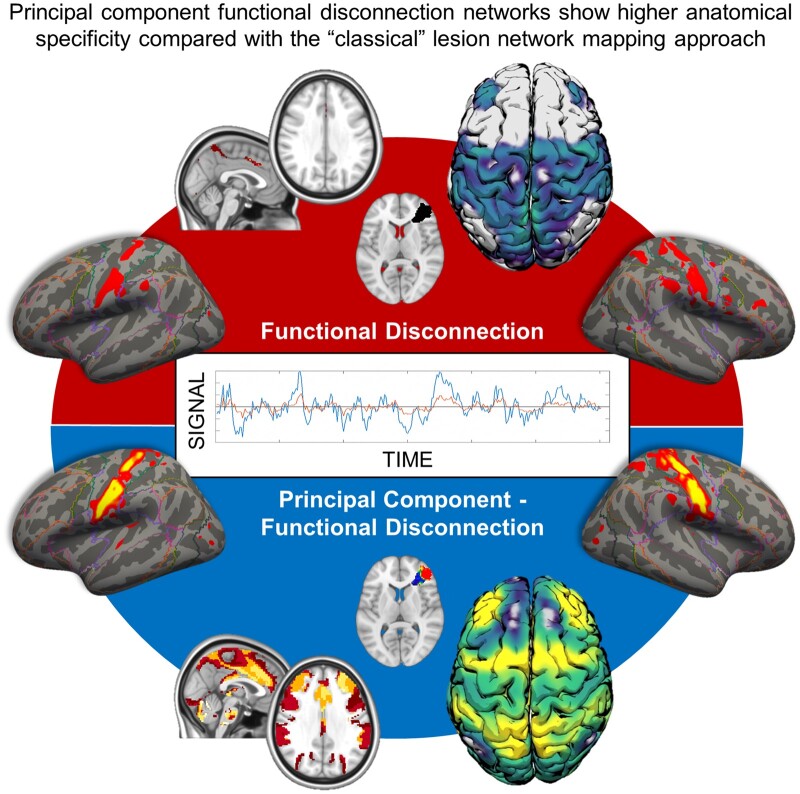 Graphical Abstract