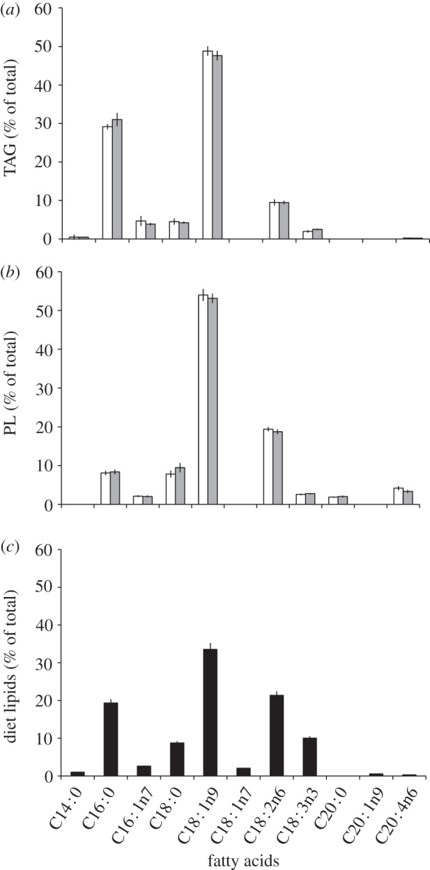 Figure 3.