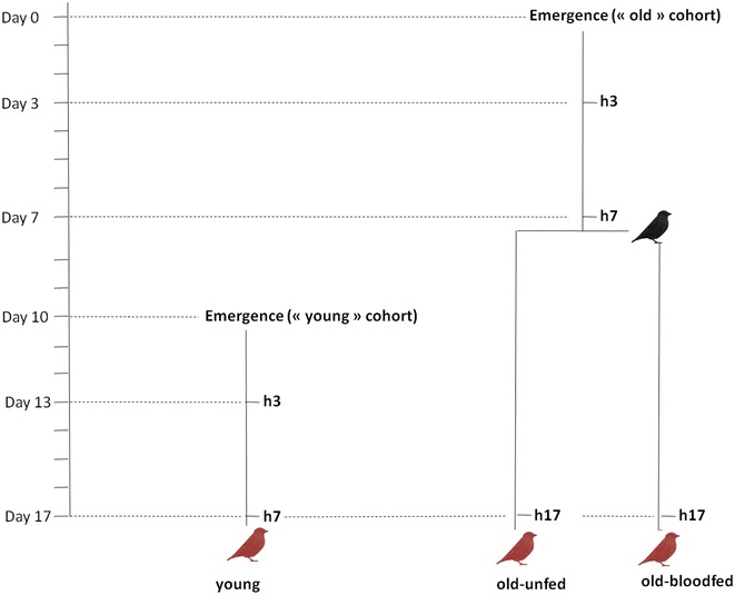 Fig. 1