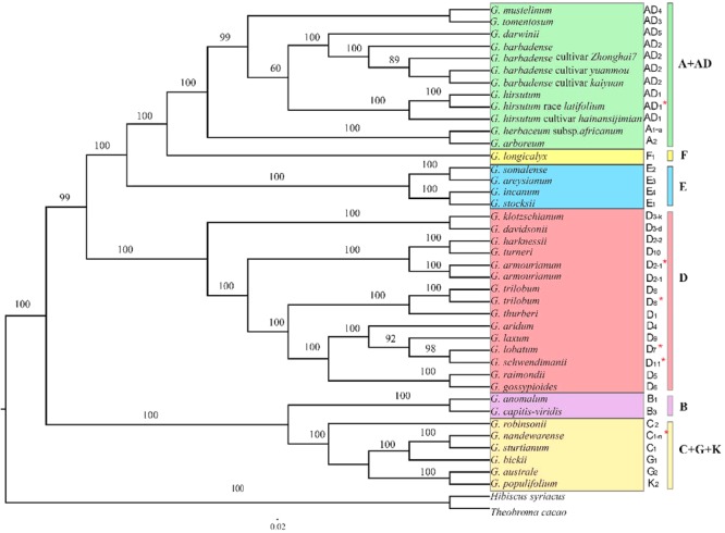 FIGURE 6