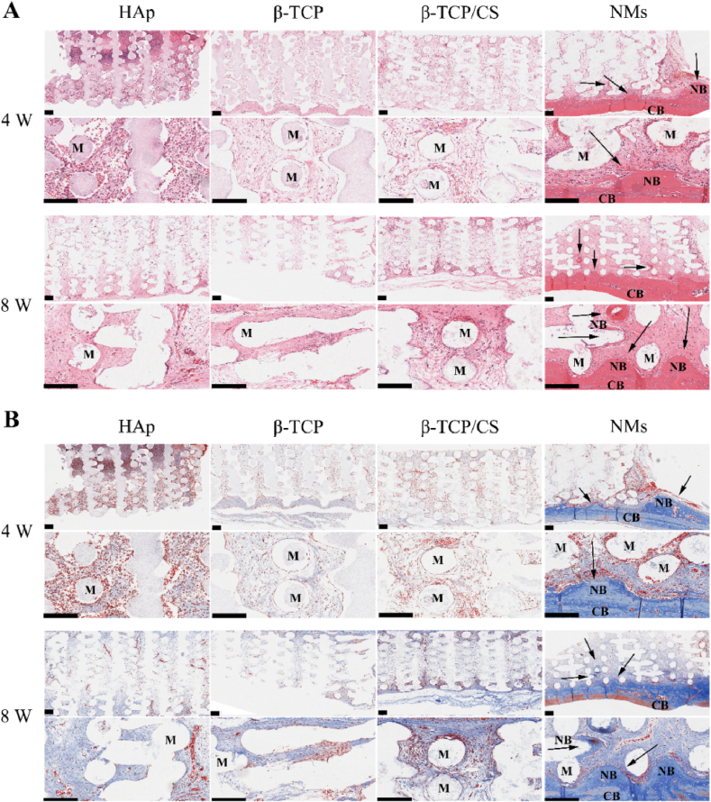 Fig. 6