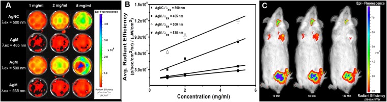 Figure 5