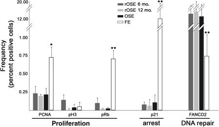 Figure 7