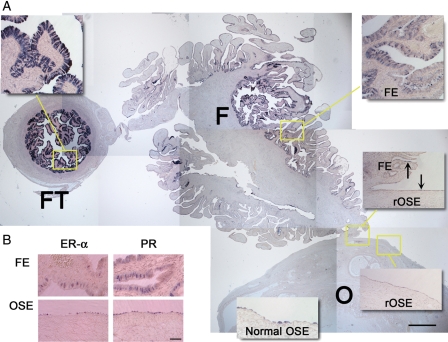 Figure 6