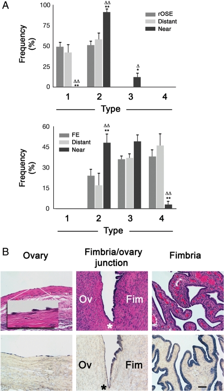 Figure 5