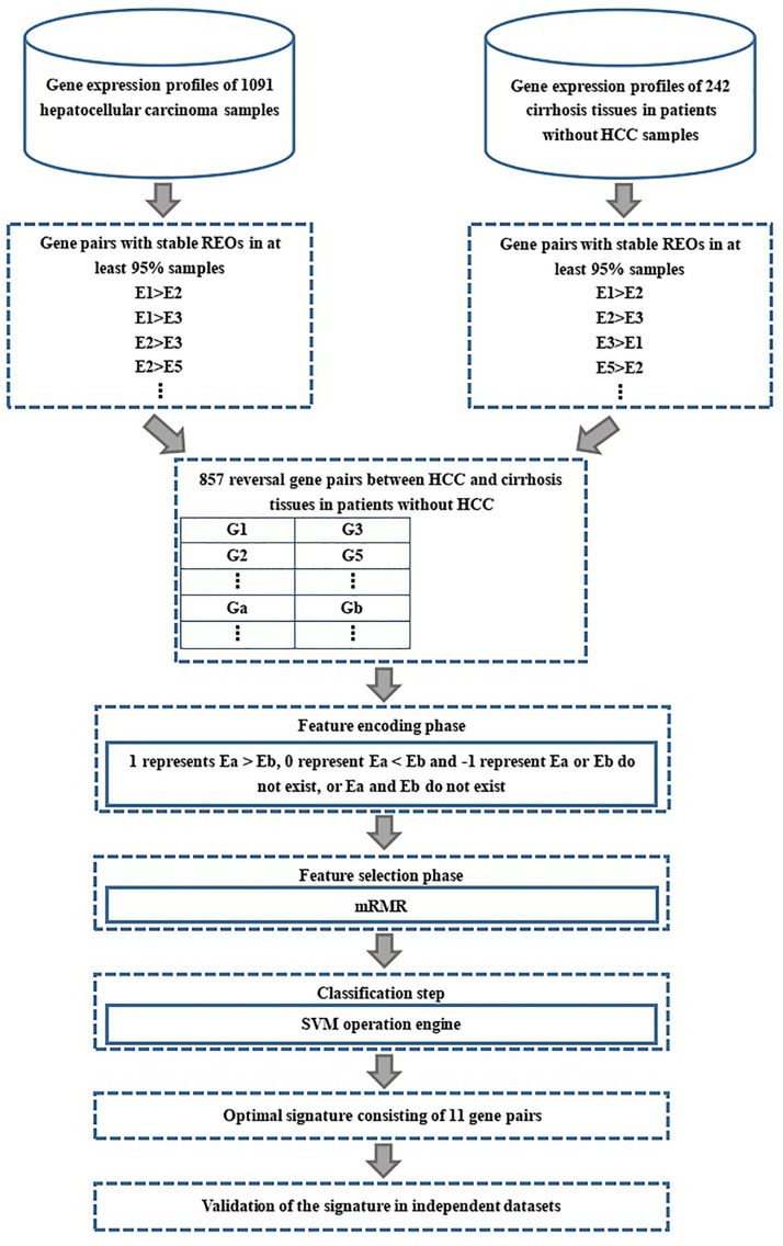 FIGURE 1