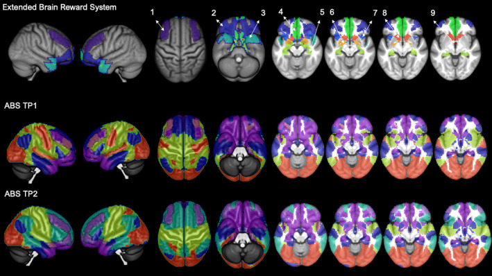 FIGURE 4