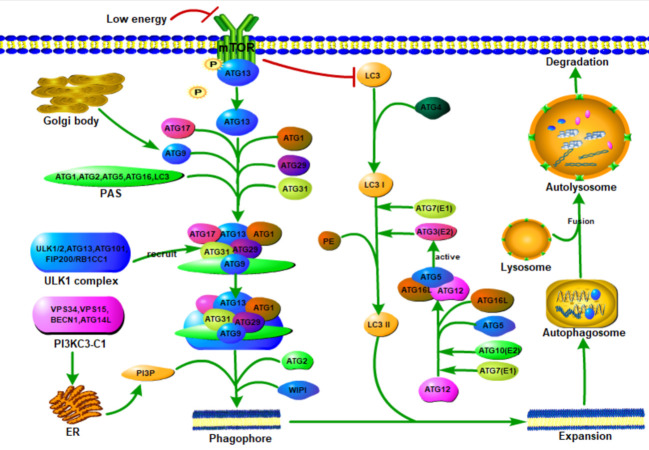 Figure 2.