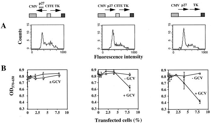 FIG. 6