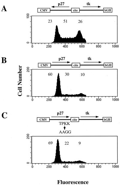 FIG. 3
