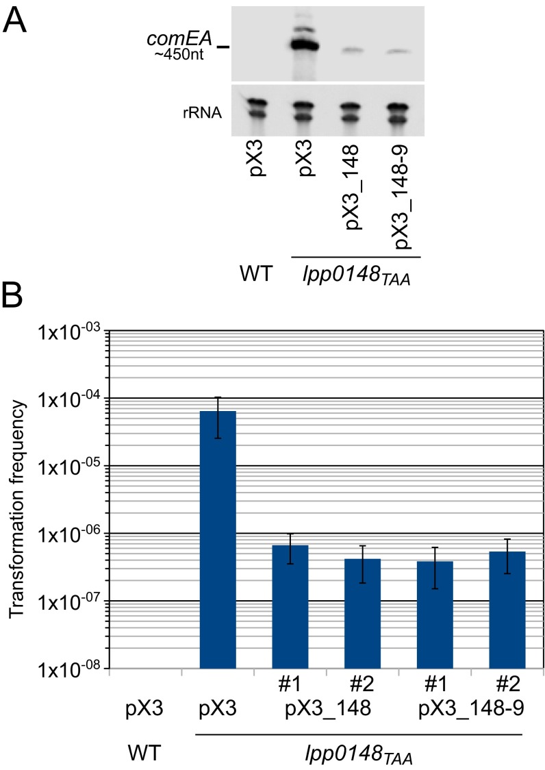 Fig. S1.