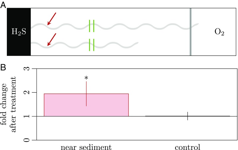 Fig. 4.