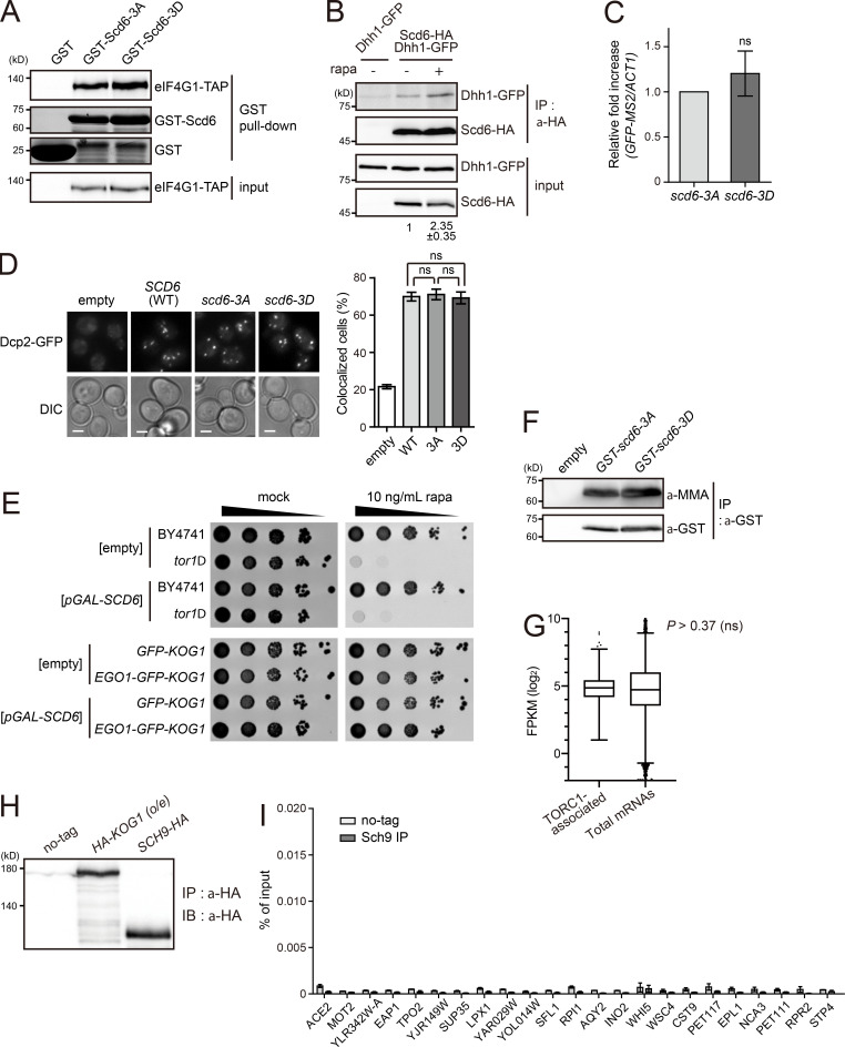 Figure S5.