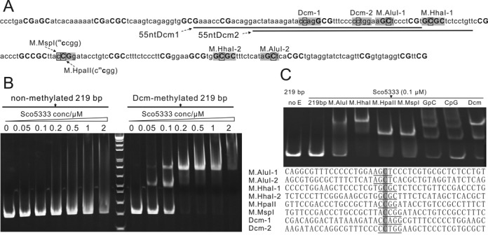 Figure 6.