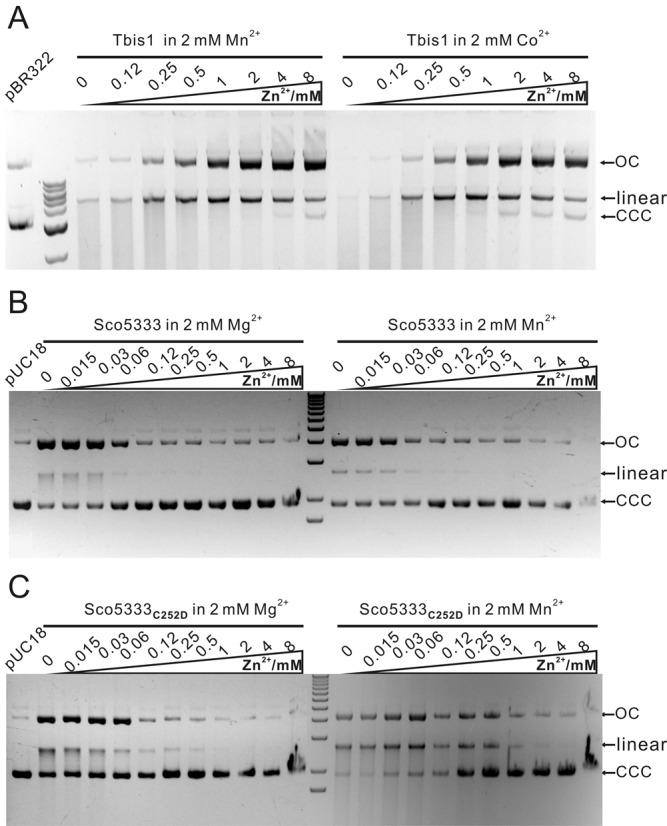 Figure 4.