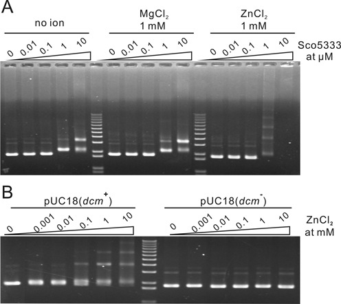 Figure 5.