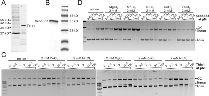 Figure 3.