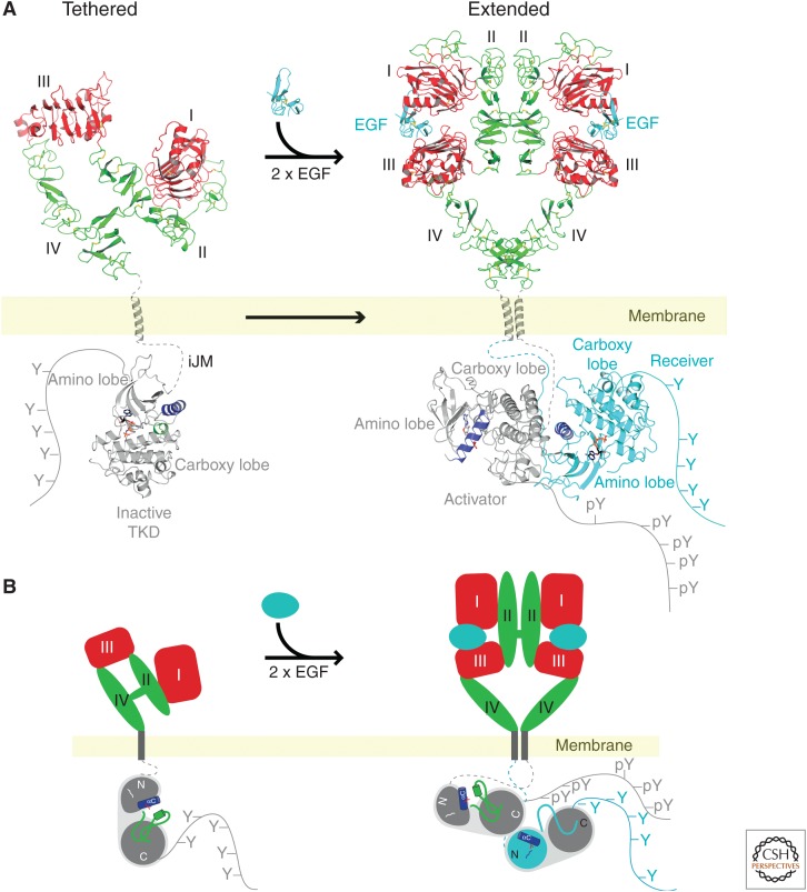 Figure 12.