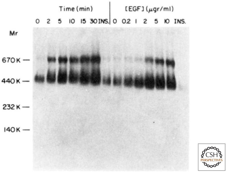 Figure 11.