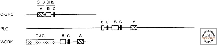 Figure 7.